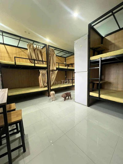 Trong và ngoài trường đại học cần cho thuê