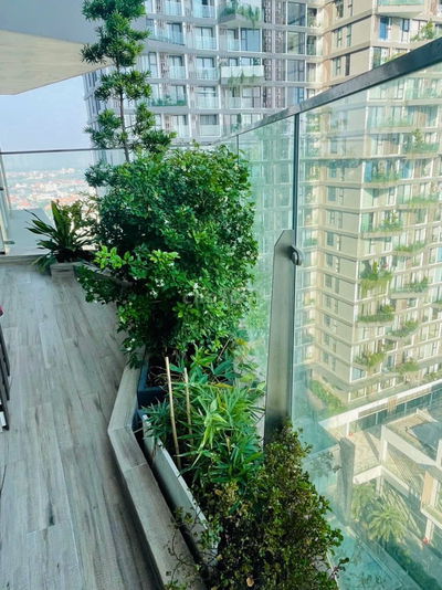 🏠 Mời thuê căn hộ 3N, 2WC Solforest 1, Ecopark giá cực tốt