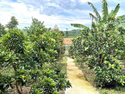 BÁN ĐẤT VƯỜN SẴN THỔ CƯ