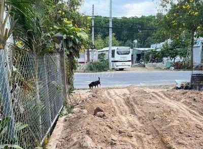 đất thổ cư giá rẻ