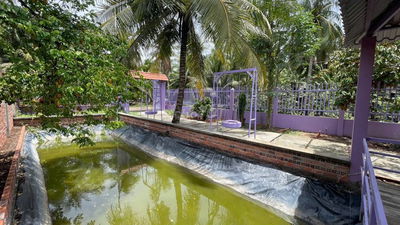Nhà vườn 300m2 sẵn 100m thổ cư giá rẻ chỉ 670 triệu tại Tiền Giang