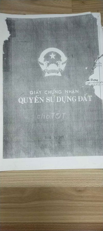 Cần bán đất nông nghiệp trồng lúa