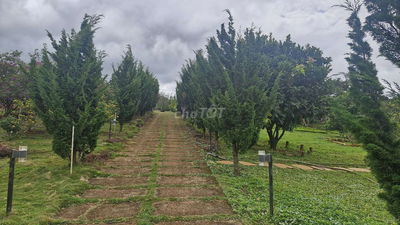 5850m2 nhà vườn nghỉ dưỡng view hồ Phúc Thọ, Lâm Hà, LĐ