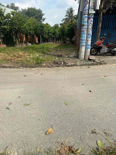 Đất Phú Hoà khu 8 Bình Dương Thủ Dàu Một cũ.Đường nhựa 4m thông 5x30