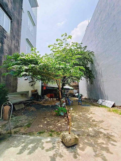 ⭐️CƠ HỘI VÀNG ĐỂ ĐẦU TƯ ⭐️ ĐẤT ĐẸP LẠI CÒN GIÁ RẺ🔥BÌNH TÂN🌳