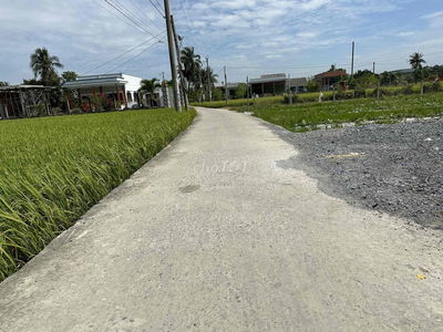 1115m2 Có Sẵn Thổ Cư giá 1 tỷ 150 triệu Sổ Sẵn, có Vườn Cây, nền sẵn