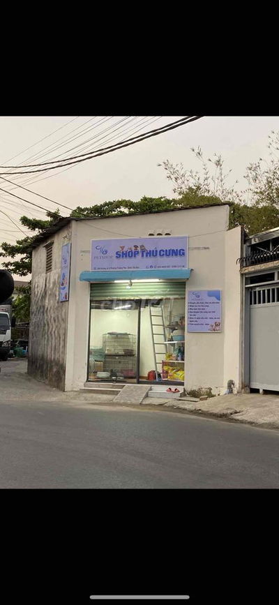 cho thuê phòng trọ mặt tiền đường 8