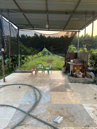 Bán đất vườn 800m2, có sẵng vườn cây ăn trái, gần khu thương mại tự do