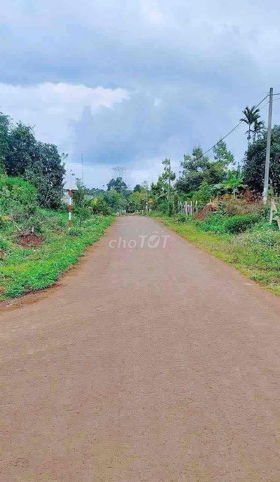 Bán lô đất đường bê tông QH 8m gần UBND xã Phú Xuân (cũ)