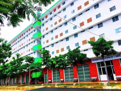 Nhà xã hội,( 100% tiền ): 325 triệu, ngày lễ xem nhà được