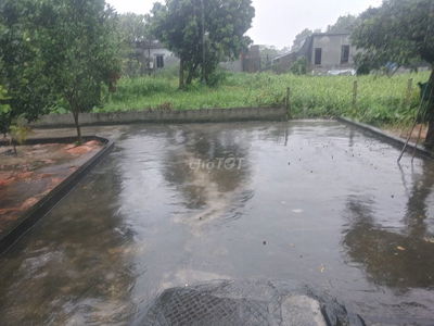 Đất sổ đỏ ~750m2 chính chủ Ý Yên