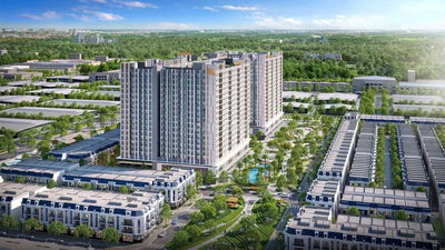 Nhà ở xã hội K- Home Apartment 1PN+ 66m2
