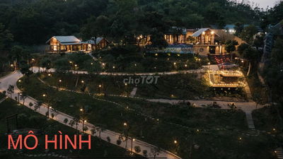 6000m2 đất QH thổ cư mặt tiền BLao Xê Rê, view 360,phường 3 TP Bảo Lộc