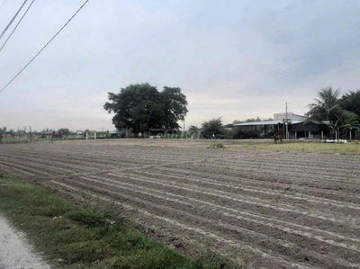 Đất chính chủ 224m Tân Mỹ Đức Hoà