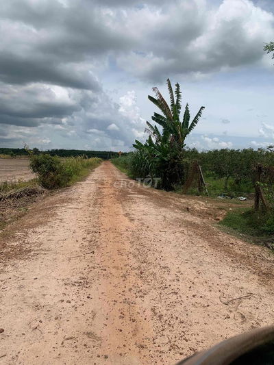 Đất chính chủ Ấp 3 Bàu Đồn