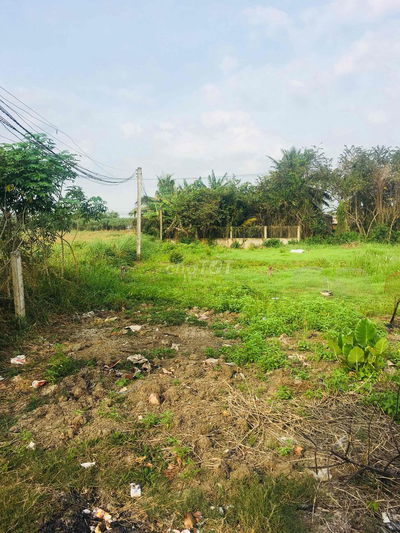 Đất thổ cư 200m2 - phước vân, cần đước, long an