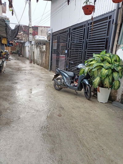 Nhà đẹp, cho thuê lâu dài