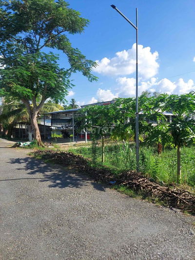 Đất 325m2 Đường Huyện 03, Trường Long, Phong Điền, Cần Thơ