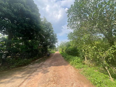 Bán 1.85ha giá trọn sổ chỉ 6 tỷ . Kim long châu Đức