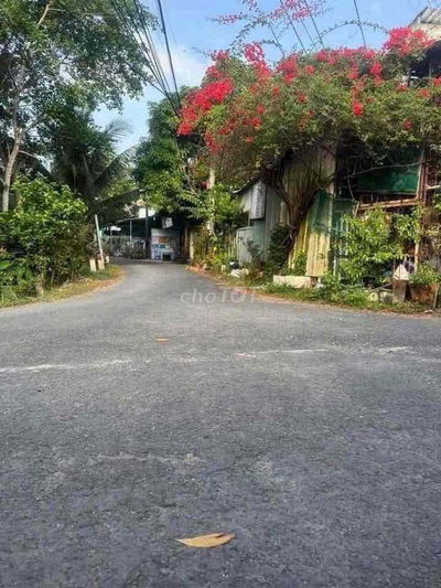 NHÀ ĐƯỜNG NHỰA ÔTÔ PHƯỜNG 8, TP. VĨNH LONG. quá rẻ