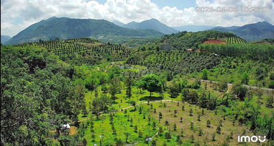 ĐẤT VIEW ĐỒI