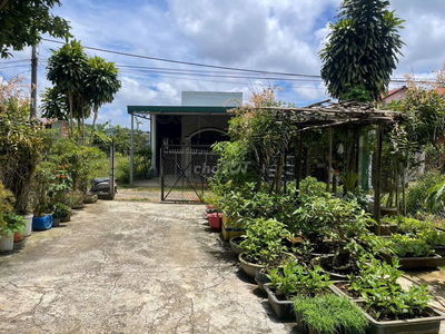 Đất sài gòn 2500m2 giá 790tr bao sổ