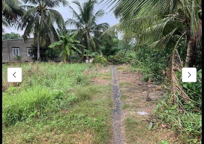 Hàn Thơm 2 Lô Đất Tại Lương Hoà Bến Lức Long An Ngay Cầu Gia Miệng