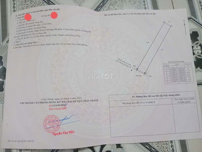 Bán đất 3000m2 trồng dừa mặt tiền đường đan 3m, Tân Bình, Châu Thành