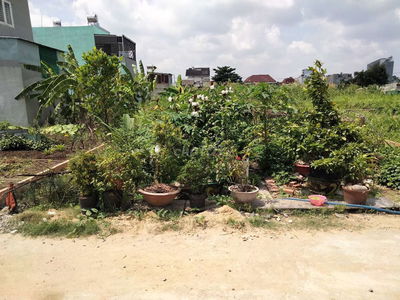 Bán đất thổ cư 125m2 xã Bình Mỹ, khu dân kín, đường oto