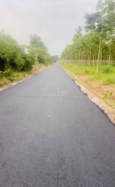 bán đất thổ cư co sổ