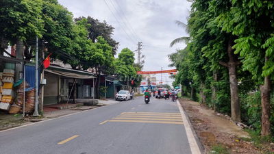 Đất 150m2 ngang 6m mặt đường An Kim Hải, An Dương, HP