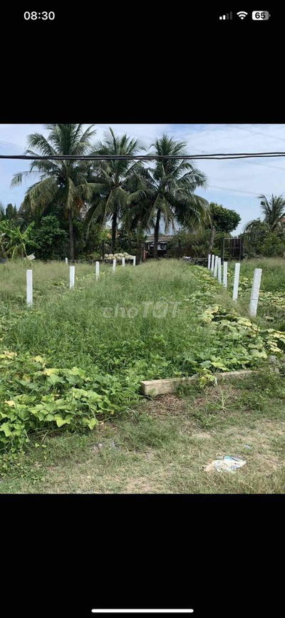 giá : 380tr/ 126m2 thổ cư , quê mỹ thạnh - tân trụ - long an