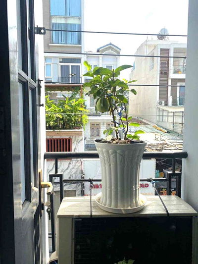 Nhà Mặt Tiền Bắc Hải,3 Tầng,Full NT,GĐ ở, SV Ghép, Kinh Doanh Đa Ngành