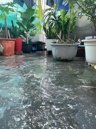 Bán nhanh cc căn số 304 nhà A phố Kim Ngưu sổ to oto đỗ cầu thang