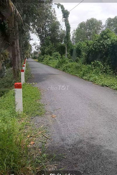 3500m đất trống gần cao tốc võ Trần Chí cần cho thuê