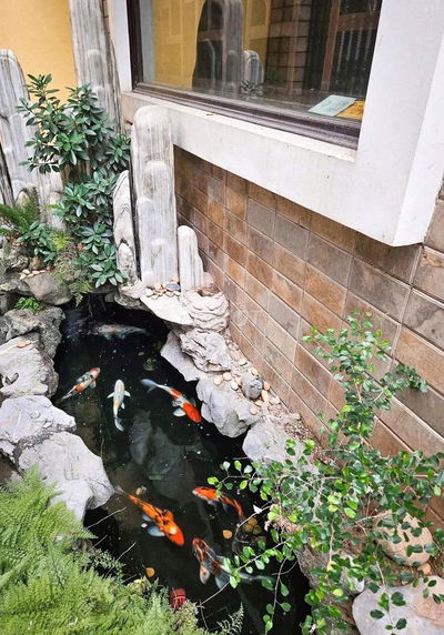 Bán nhà  LẠC LONG QUÂN 60m– ngõ thông- KD- ô tô- gần Hồ Tây- 9.9 tỷ.