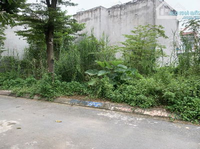 Lô Đất Siêu Đẹp khu vạn Xuân ĐS 8 Lò Lu_ Trường Thạnh,Q9 🔥63m2 giá chỉ 3,6 tỷ