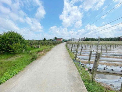 Bán  5 x 36 thổ cư đường Đan 3.5 m nền sáng,sạch đẹp  nhà đông đ