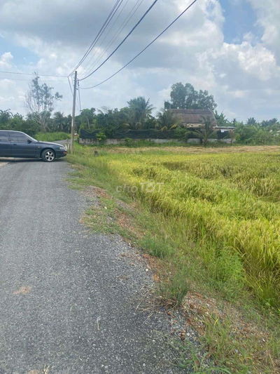 Bán đất Lang Cát Tan Nhựt 2.000m2 giá 3.5ti