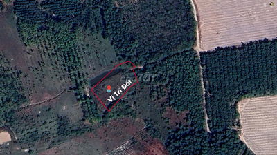 BÁN ĐẤT 200 m² THỔ CƯ + 2.000 m² VƯỜN — CHỈ 1,3 TỶ (THƯƠNG LƯỢNG)