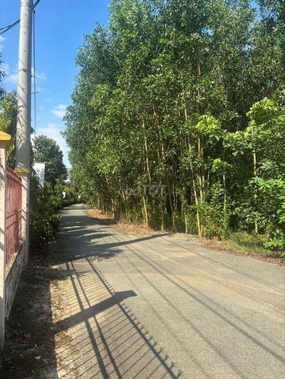 Bán đất 2 mặt tiên cách quốc lộ 51 tầm 100 mét