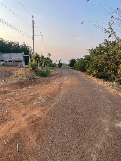 cần bán