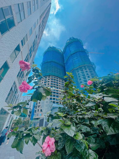 [Nóng Hổi..] Em Giang PKD Chủ đầu tư nhận Booking tòa The Queen, Chính sách ưu đãi cực hấp dẫn luôn