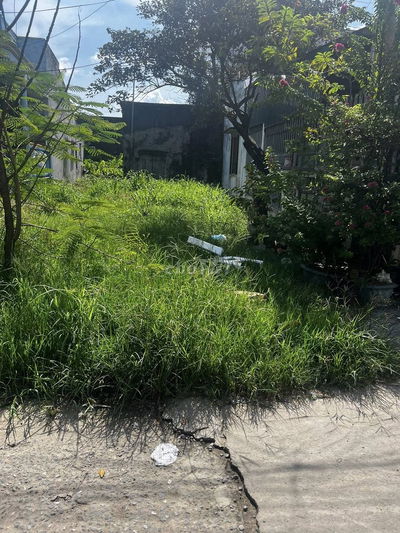 Đất thổ cư 160m² Tân Long, cách biển 1km, chợ Lagi 500m, đường ô tô