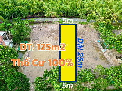Đất Nền Thổ Cư 100% Lộ Nhựa Giá Rẻ
