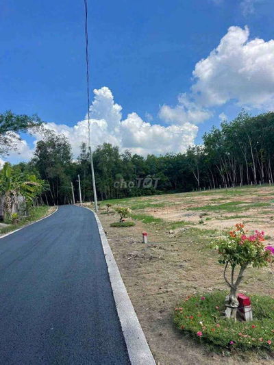 Nguồn thơm 300m2 Minh Thạnh TPHCM