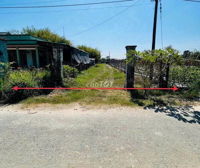 BÁN ĐẤT KHU DÂN CƯ XÃ PHƯỚC THẠNH CỦ CHI 167m2 GIÁ 430 TRIỆU - SHR