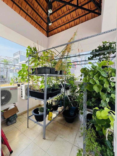 💎 QUẬN 3 – NGUYỄN THIỆN THUẬT • GIÁP Q1  🏠 DT 3.3x11, 1 trệt 3 lầu