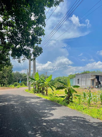 Bán Vườn 3426m2, Giá 750 triệu, thương lượng, Sát trường học An Linh,