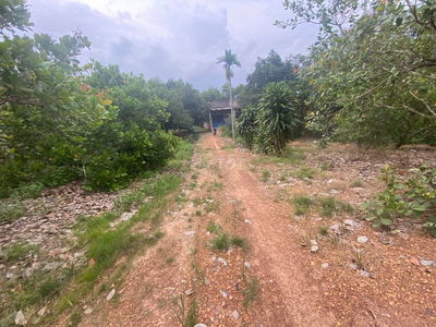 chỉ 1 tỷ 350t sở hữu lô đất 2,2ha (22000m2),thích làm vườn